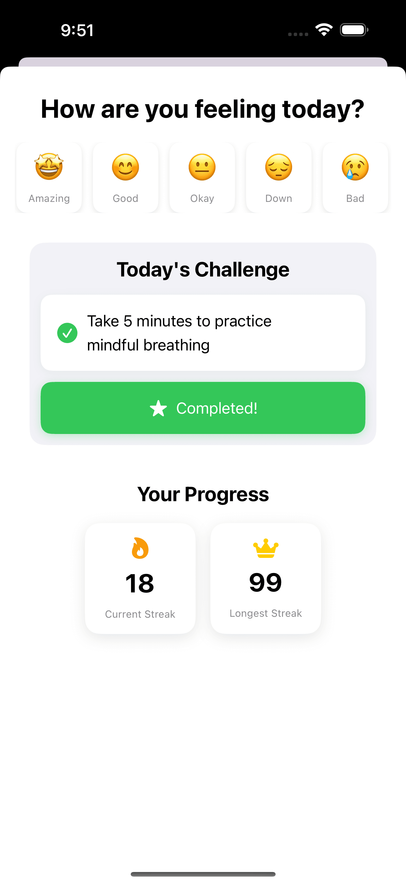 App Screenshot 4